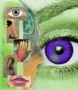 Systemische Aufstellungen und NLP - Neurolinguistisches Programmieren - www.the-good-solution.com Unsere Grundlagen & Methoden: NLP - Das neurolinguistische Programmieren ist ein psychologisches Kommunikationsmodell bezüglich Wahrnehmung & Verhalten - Die Sinnesorgane zur Wahrnehmung - The Good Solution GmbH - www.the-good-solution.com